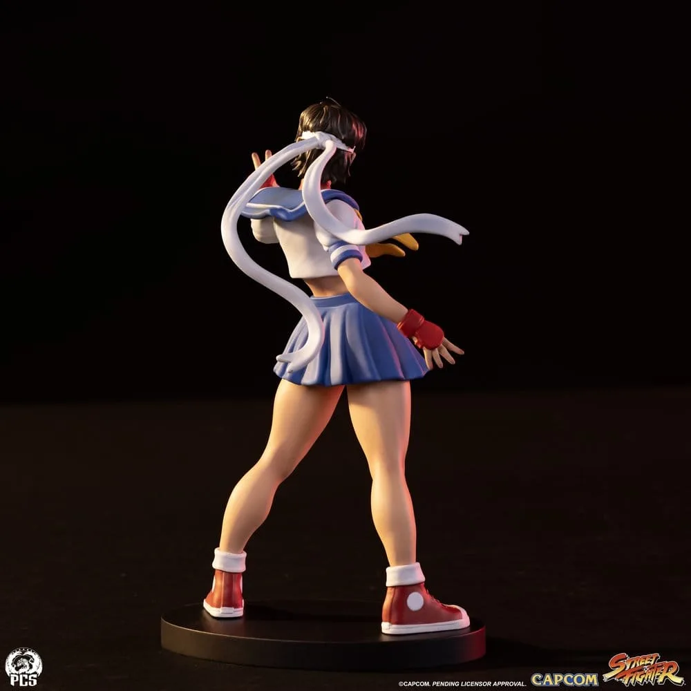 Street Fighter Statue Set – Street Jam Sakura & Sodom 22 cm 10