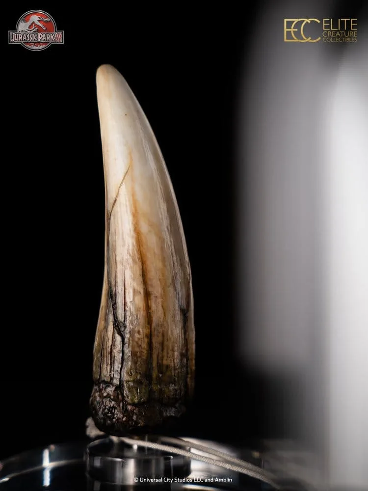 Jurassic Park III Prop Replica – Spinosaurus Tooth 14 cm 9