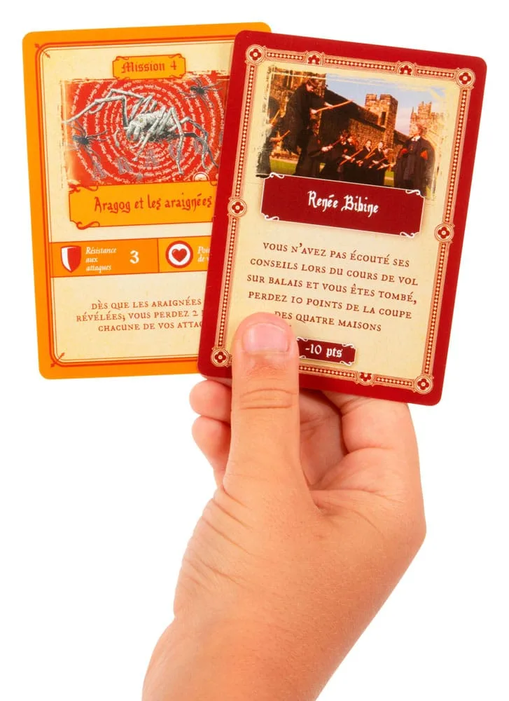 Harry Potter Bordspel – A Year at Hogwarts, Franstalig 4