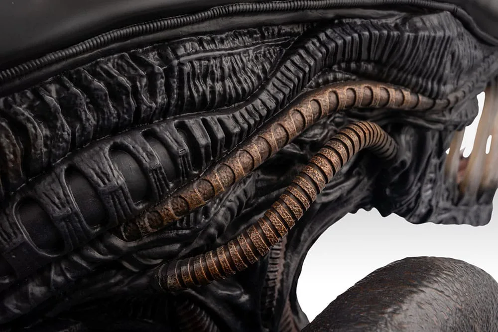 Alien Romulus Life-Size Bust – Scorched Xenomorph 53 cm 6