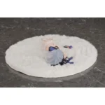 Original Character Beeldjesset – Nesoberi Sutora Deluxe 5 cm 7