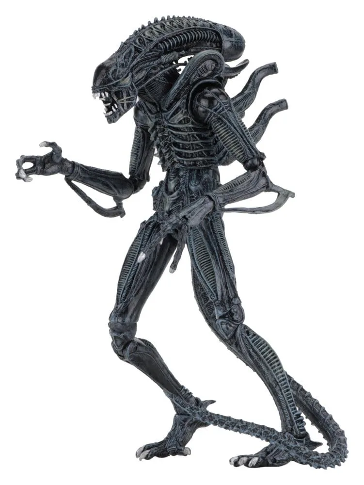 Aliens Action Figure – Ultimate Blue Warrior 1986 22.9 cm 5