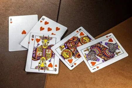 Theory 11 Playing Cards – Animal Kingdom 2