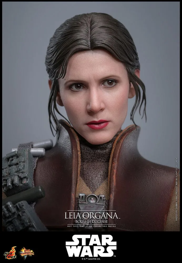 Star Wars Action Figure – Leia Organa Boushh Disguise 1/6 27 cm 11