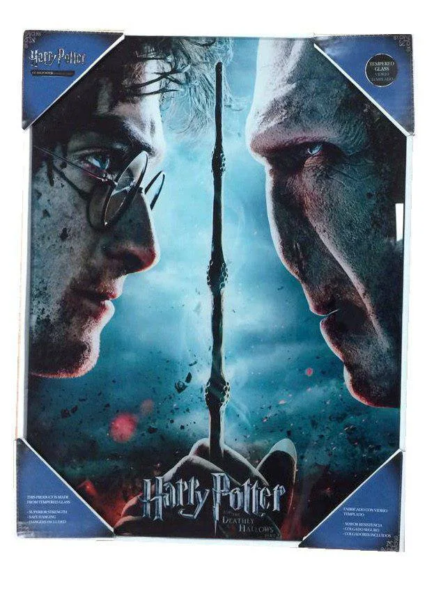 Harry Potter Glass Poster – Voldemort Showdown 30 x 40 cm
