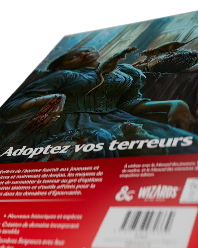 Dungeons & Dragons RPG Book – Ravenloft French Edition 16