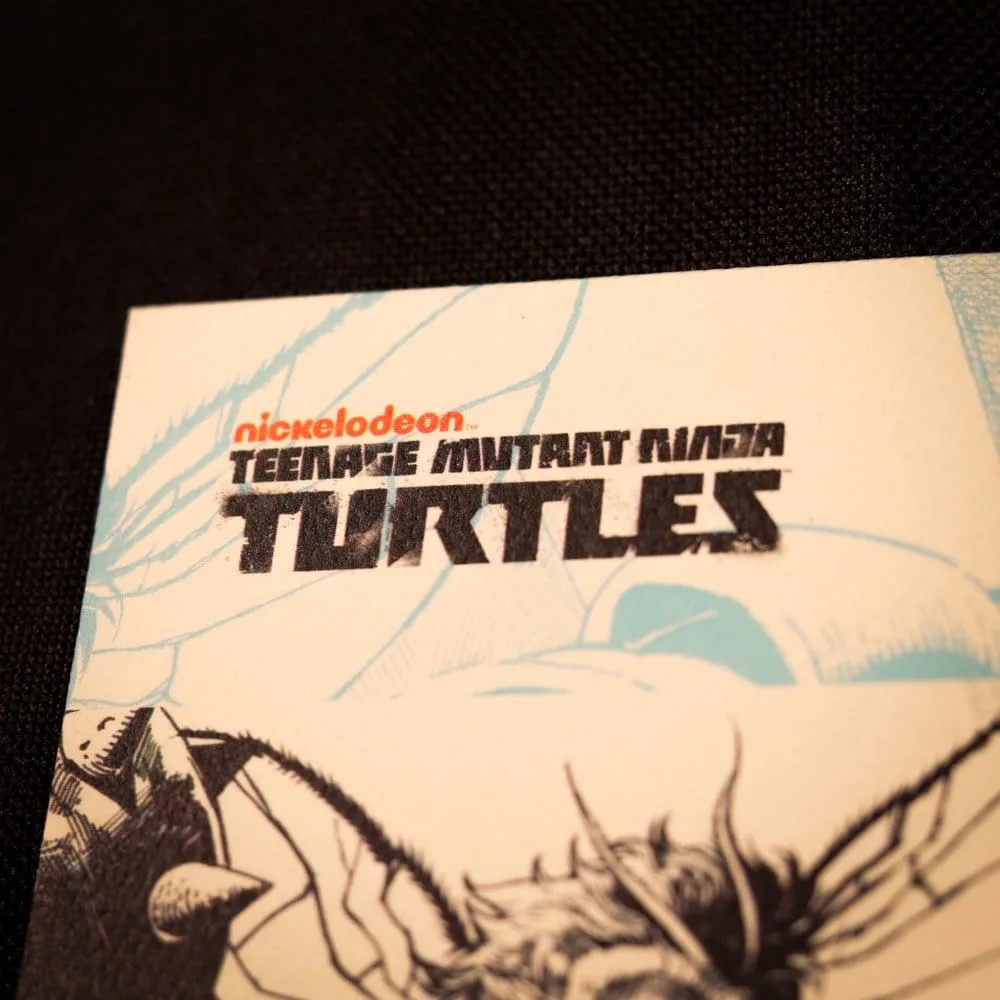 Teenage Mutant Ninja Turtles Art Print – Comic 42 x 30 cm 2