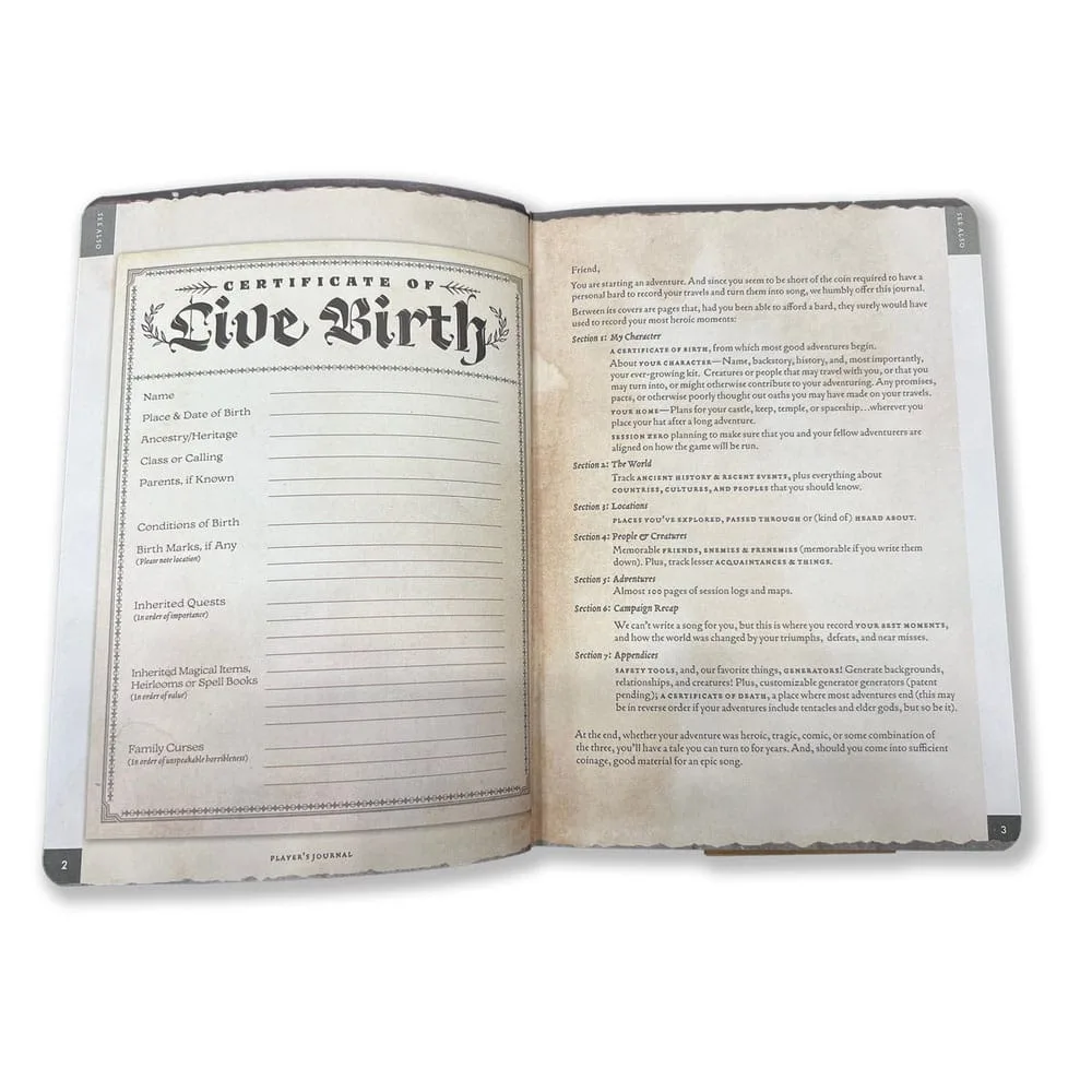Player’s Journal Notebook – Sage Green Shield A5 3