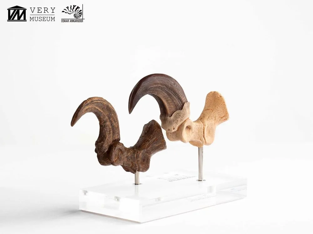 Jurassic Park Statue Set – Velociraptor Claws 20 cm 8