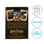 Harry Potter Playing Cards – Sorcerer’s Stone 54-Card Deck 6