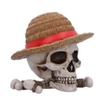 One Piece Storage Box – Luffy Jolly Roger 4