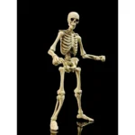 Epic H.A.C.K.S. Action Figure – Skeleton Blank Classic Bone 1/12 1