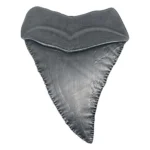 Jaws Medallion – 50th Anniversary Shark Tooth 90 x 70 mm 2