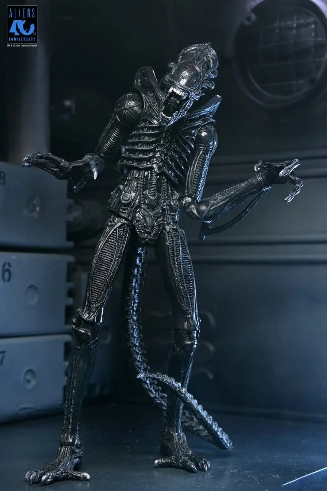 Aliens Action Figure – Black Xenomorph Warrior 23 cm 5