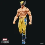 Marvel Legends Action Figure – Bare-Chested Wolverine 15.2 cm 12