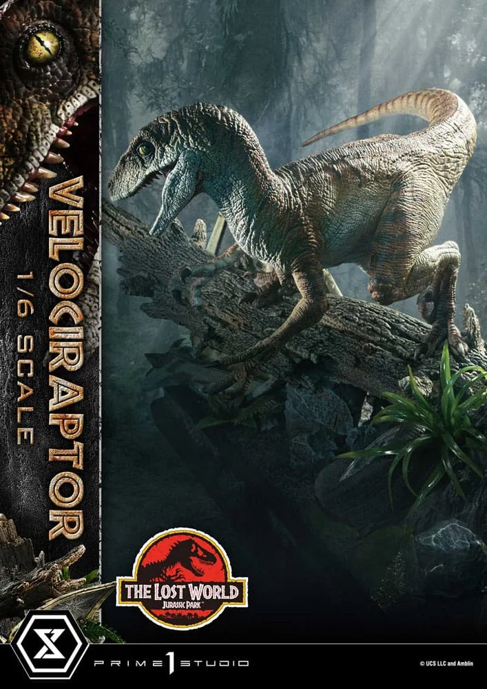 Jurassic Park II beeld – Tiger Stripe Velociraptor 1/6 41 cm 19