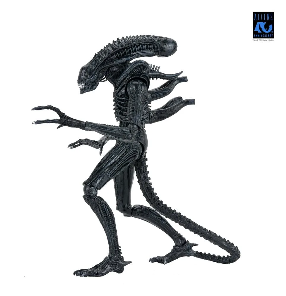 Aliens Action Figure – Black Xenomorph Warrior 23 cm 20