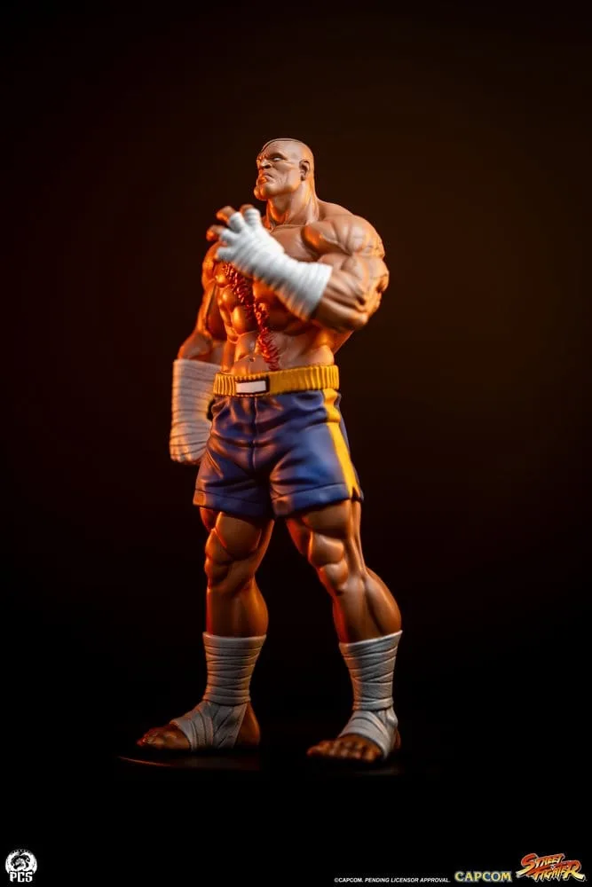 Street Fighter Statue Set – Street Jam Sagat and Juli 1/10 24 cm 16