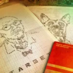 Fallout Gift Box – Wasteland Treasures Kit 17
