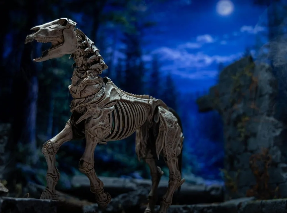 Mythic Legions Actiefiguur – Skeleton Steed Legion Builder 5