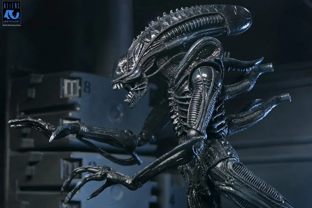 Aliens Action Figure – Black Xenomorph Warrior 23 cm 16