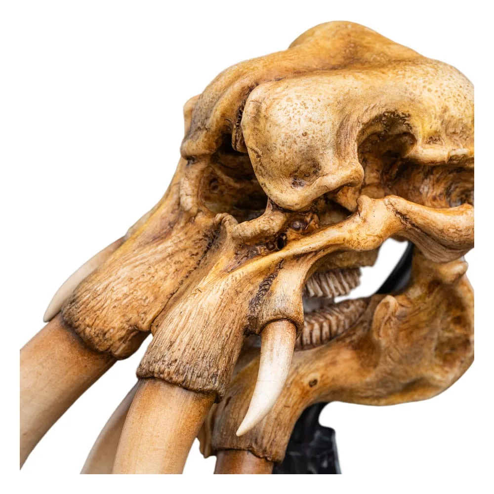 Lord of the Rings Mini Statue – Mumak Skull 15 cm 13