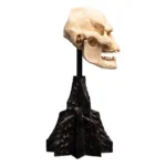 Lord of the Rings Mini Statue – Skull of Lurtz 14 cm 6