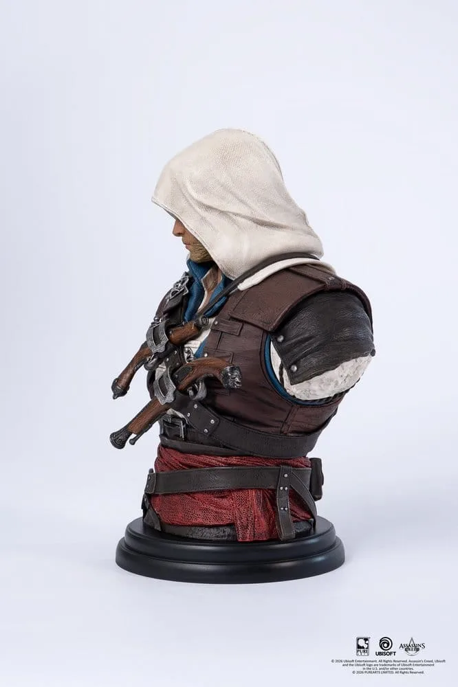 Assassin’s Creed Bust – Edward 1/4 Scale 3