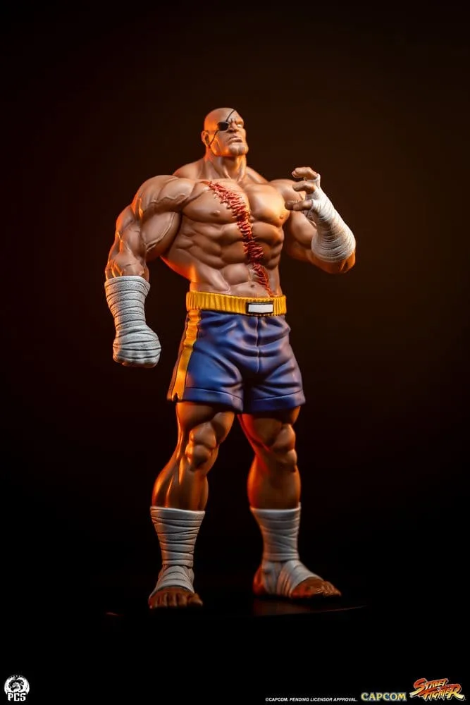 Street Fighter Statue Set – Street Jam Sagat and Juli 1/10 24 cm 5