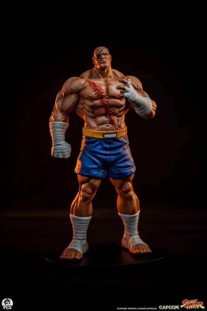 Street Fighter Statue Set – Street Jam Sagat and Juli 1/10 24 cm 22