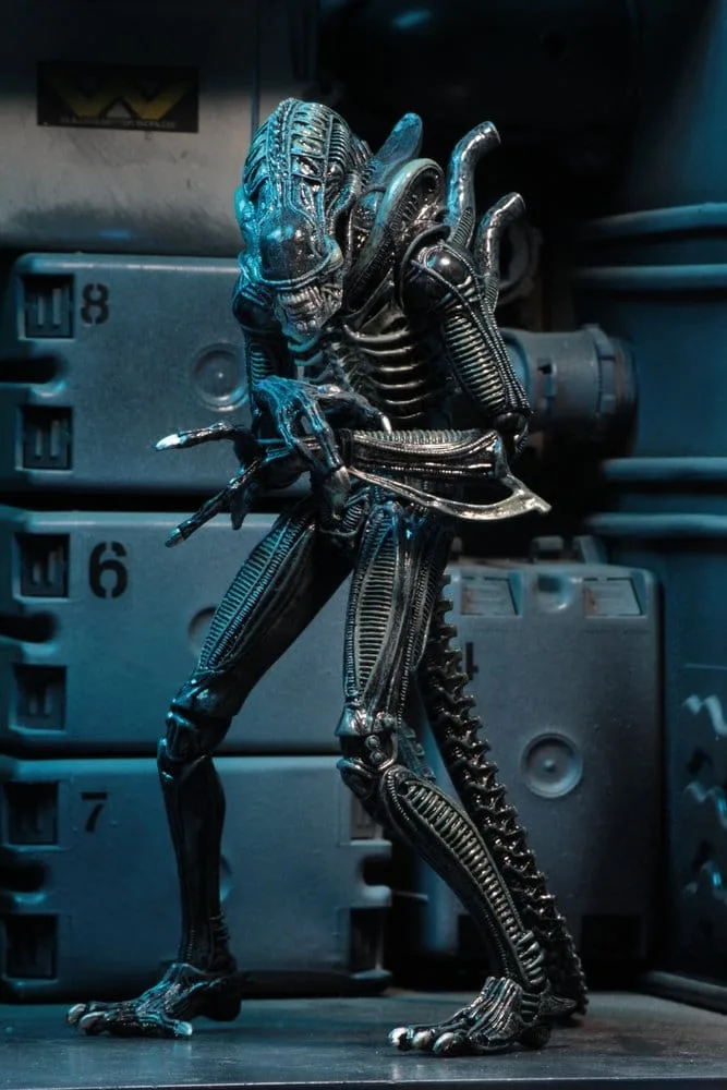 Aliens Action Figure – Ultimate Blue Warrior 1986 22.9 cm 9