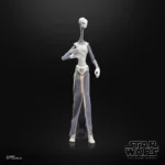 Star Wars Black Series Action Figure – Taun We 15 cm 8