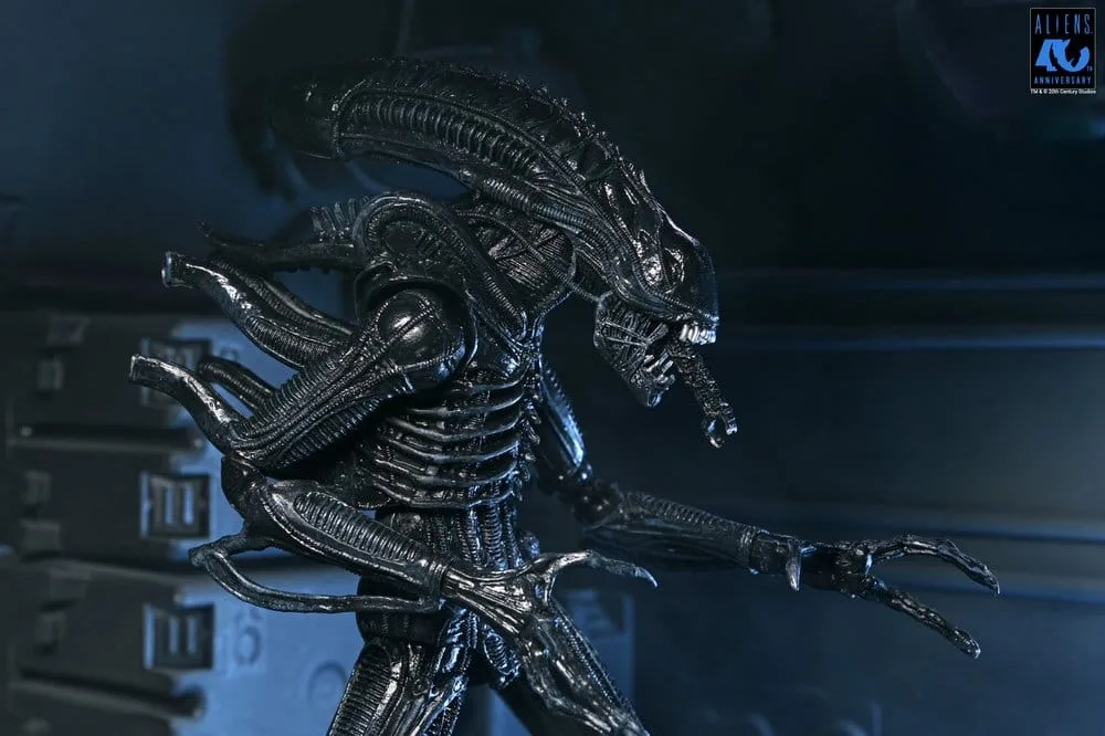 Aliens Action Figure – Black Xenomorph Warrior 23 cm 12