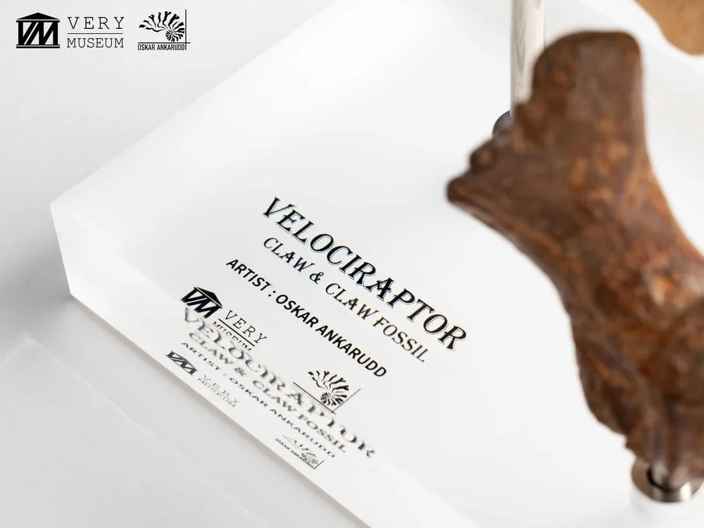 Jurassic Park Statue Set – Velociraptor Claws 20 cm 13