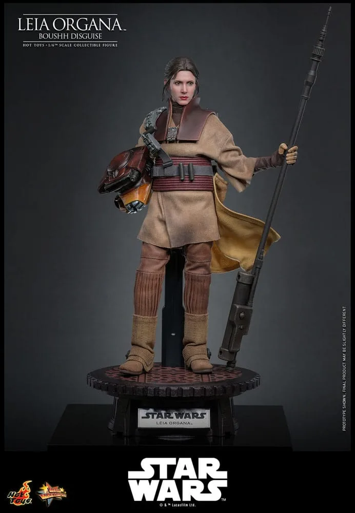Star Wars Action Figure – Leia Organa Boushh Disguise 1/6 27 cm 6