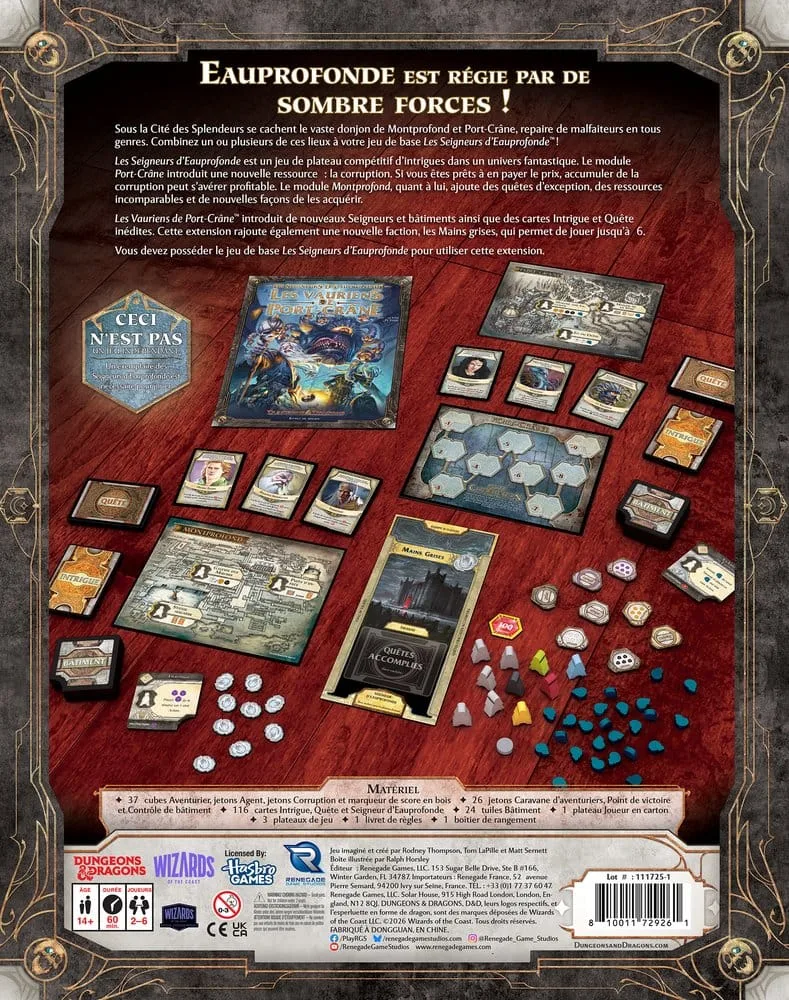 Dungeons & Dragons Expansion – Scoundrels of Skullport French 2