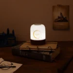 Harry Potter Ambient Lamp – Hedwig 9.1 cm 3