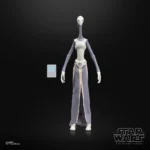 Star Wars Black Series Action Figure – Taun We 15 cm 6