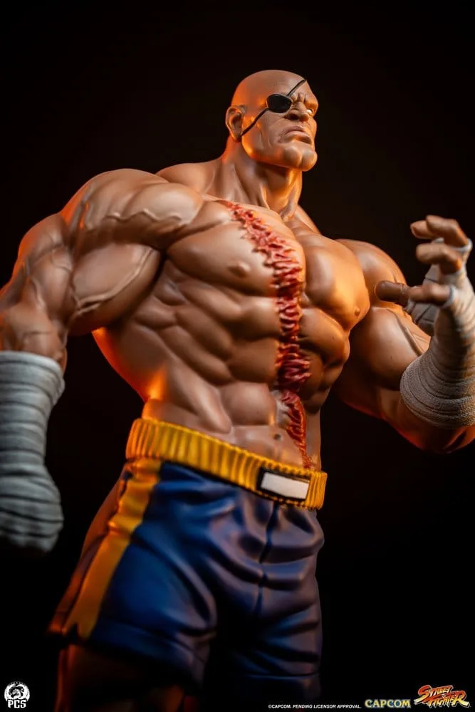 Street Fighter Statue Set – Street Jam Sagat and Juli 1/10 24 cm 17