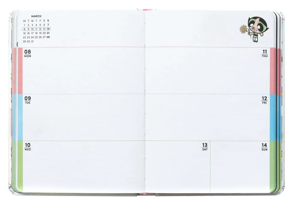 The Powerpuff Girls Schülerkalender – 2026/27 Englisch A6 2