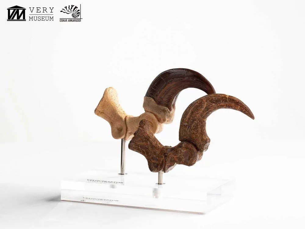 Jurassic Park Statue Set – Velociraptor Claws 20 cm 4