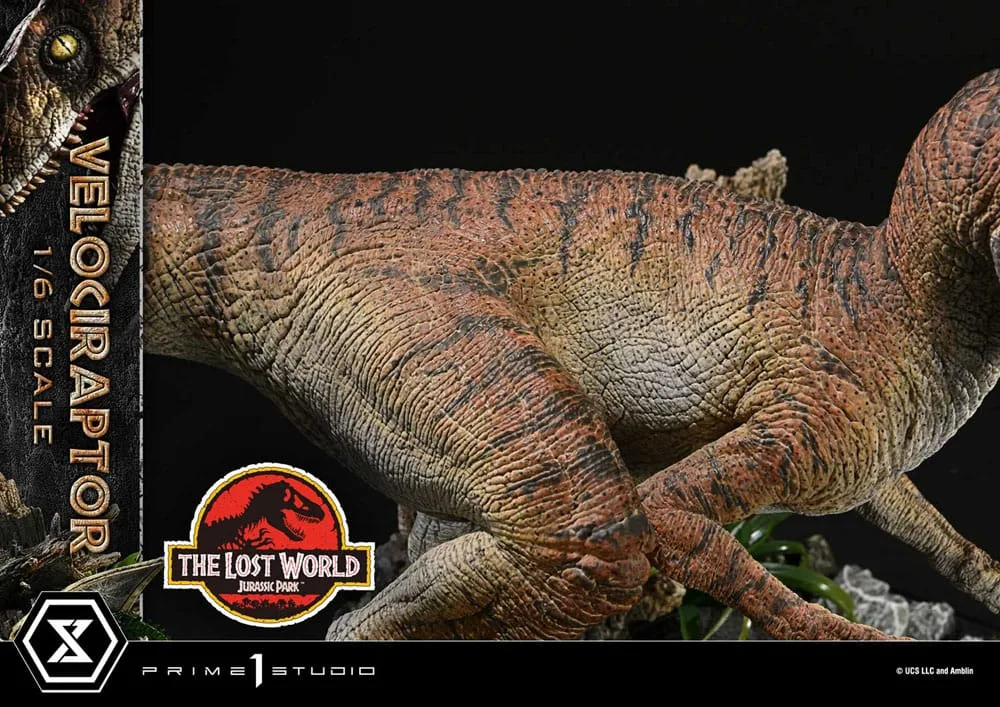 Jurassic Park II beeld – Tiger Stripe Velociraptor 1/6 41 cm 14
