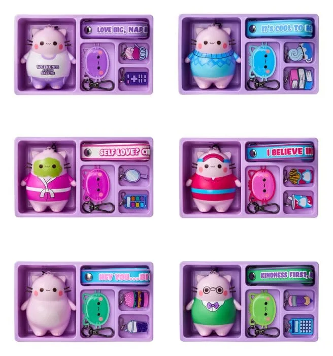 Pembe Keyring Blind Box Display – Bento Box 8 cm 3