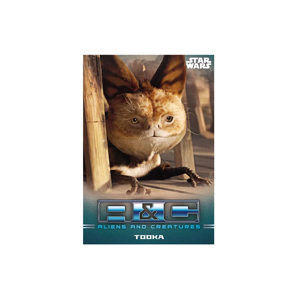 Star Wars Sammelkarten – The Mandalorian Starterset 2
