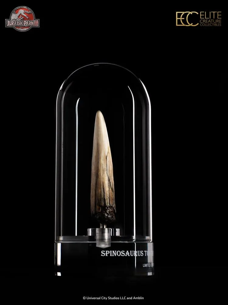 Jurassic Park III Prop Replica – Spinosaurus Tooth 14 cm 3