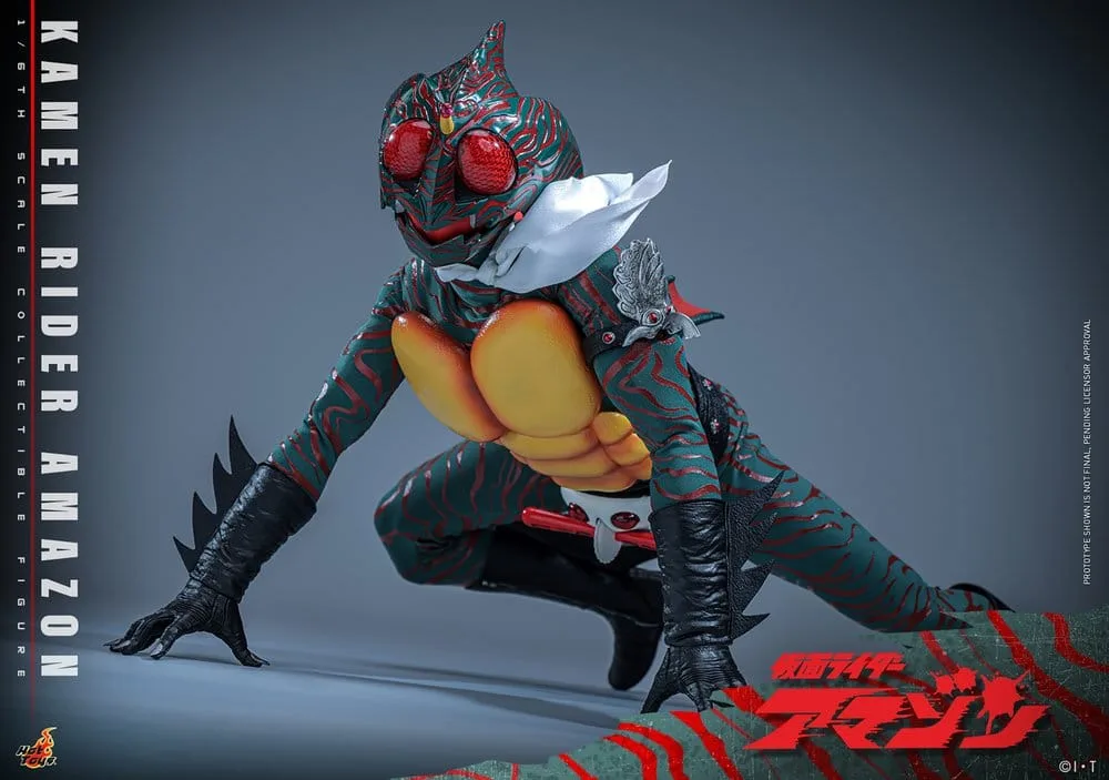 Kamen Rider Action Figure – Amazon 1/6 Scale 30 cm 7