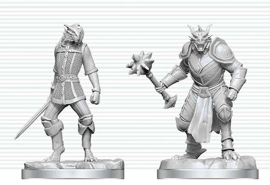 Dungeons & Dragons Miniatures – Dragonborn Paladin and Squire
