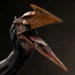Jurassic World Rebirth Statue – Icons Quetzalcoatlus 26 cm 6