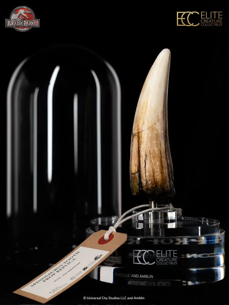 Jurassic Park III Prop Replica – Spinosaurus Tooth 14 cm 7