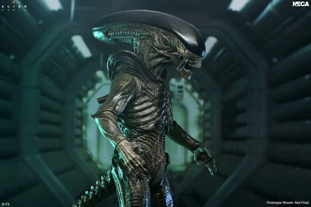 Alien Earth Actionfigur – Ultimate Xenomorph 18 cm 4
